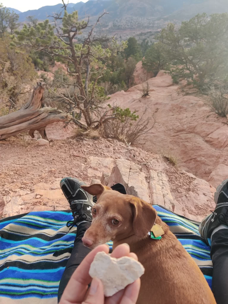 A photo of Moonie and Leah La Rae love collecting rocks for Your Face Rocks!